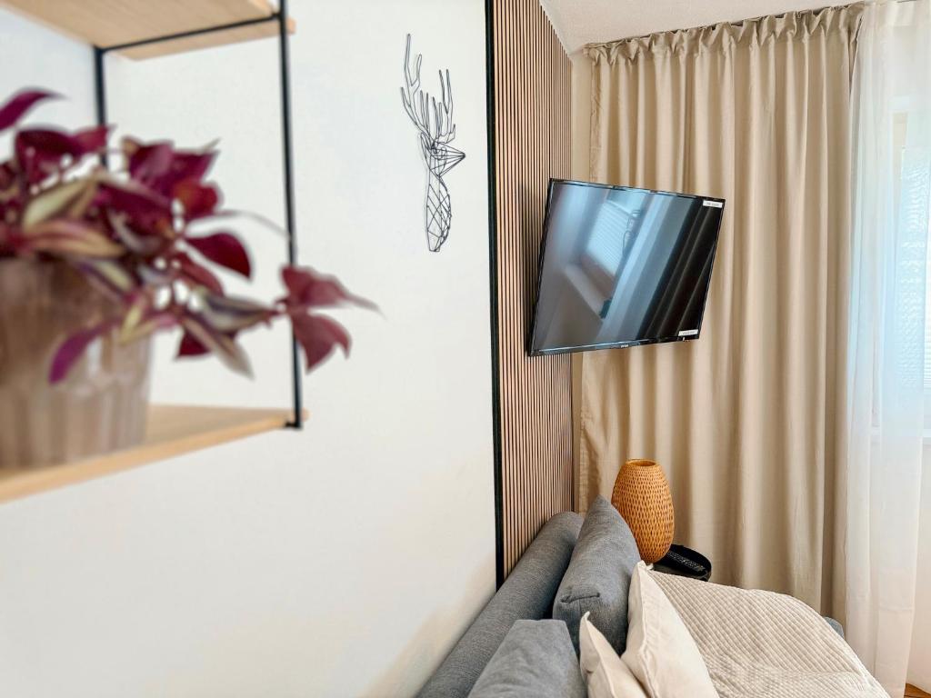 TV a/nebo společenská místnost v ubytování Apart Pair im Dorf
