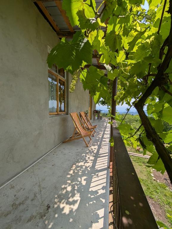 Příroda nedaleko hostelu