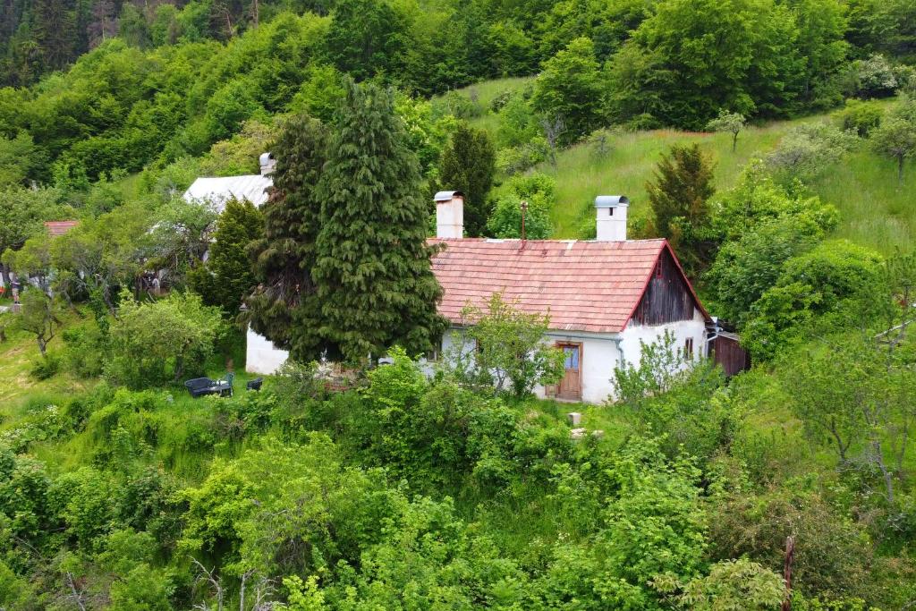 a house in the middle of a hill with trees at Ubytovanie Domček Paradajz in Banská Štiavnica