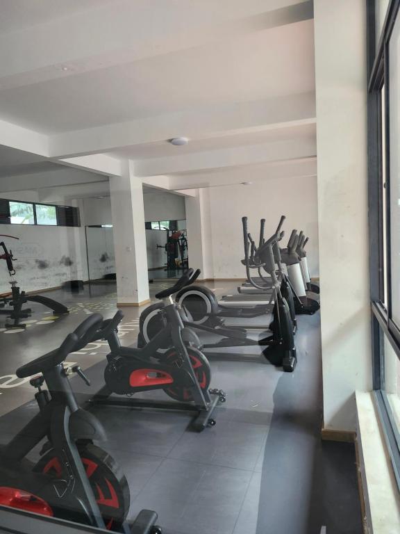 Fitness centrum a/nebo fitness zařízení v ubytování Serenity Haven-Jkia