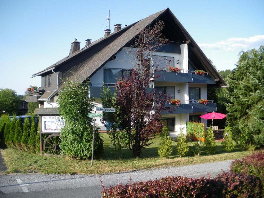 une maison sur le côté d'une route dans l'établissement Ferienwohnungen Landhaus Meran, à Willingen