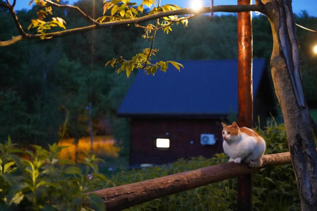 Domácí mazlíčci ubytovaní s hosty v ubytování Osada Krasne - Noclegi Blisko Natury
