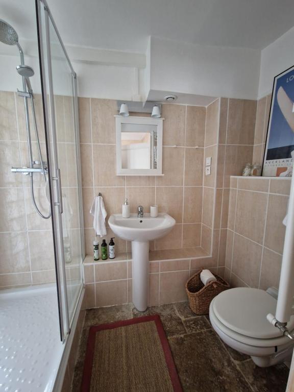 Un baño con lavabo, inodoro y ducha. en Le Mont Saint-Laurent, en Mesmont