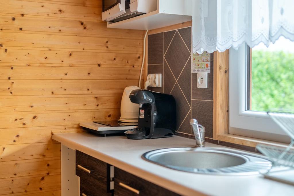 Kuchyňa alebo kuchynka v ubytovaní Apartamenty Kompas