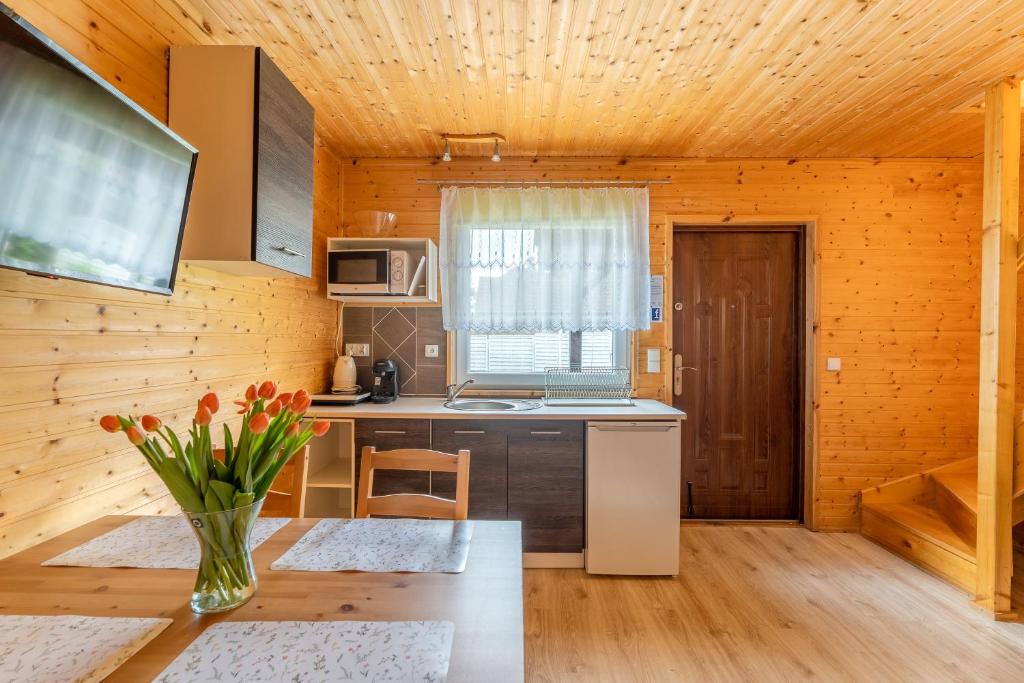 Kuchyňa alebo kuchynka v ubytovaní Apartamenty Kompas