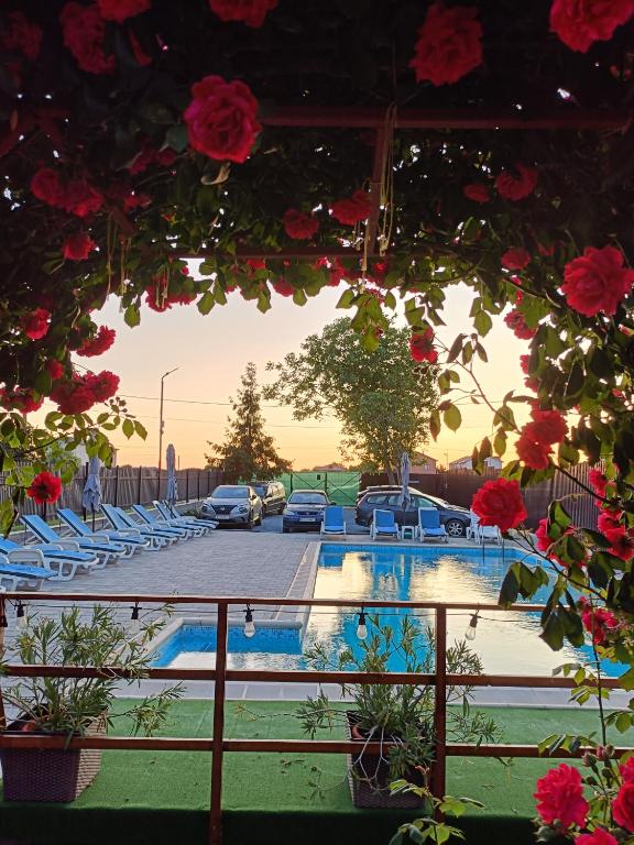 a view of a swimming pool with chairs and flowers at Vila Andra in Costinesti