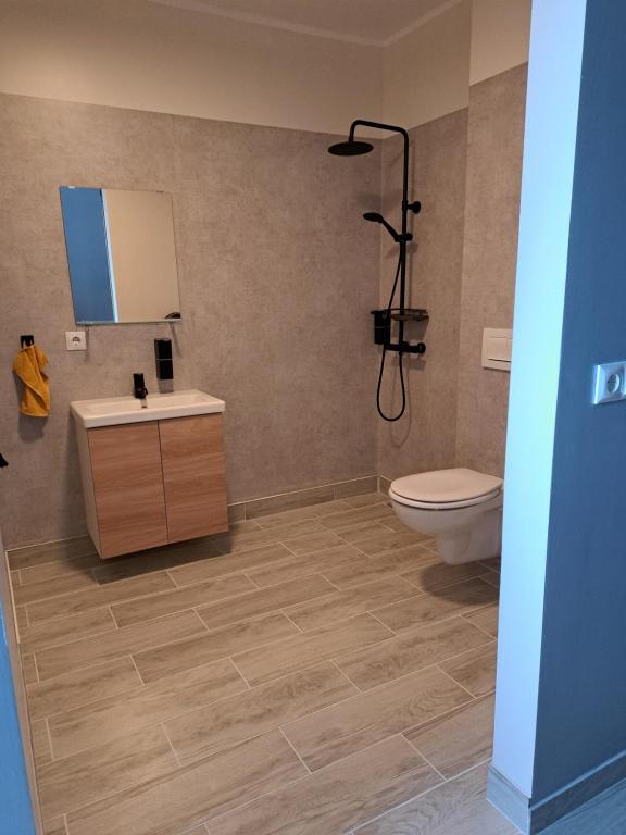 Guesthouse Hof في Hofgarðar: حمام مع مرحاض ومغسلة ودش