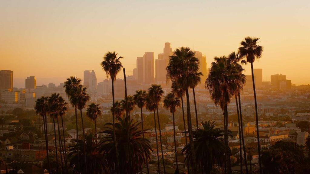 a group of palm trees in front of a city at Spacious 1bdrm apartment 10 mins to Cedars-Sinai by car FREE Parking, King bed in Los Angeles