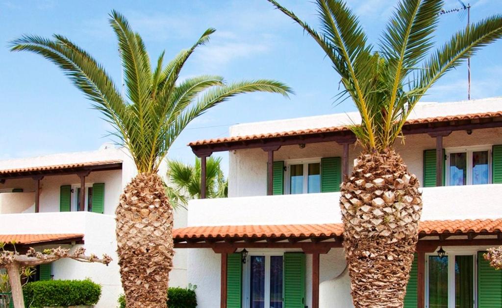 two palm trees in front of a building at Stefanie Studios in Egina