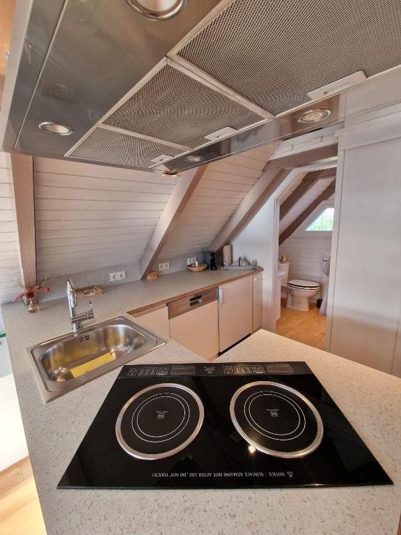 Kuchyň nebo kuchyňský kout v ubytování Seehütte Neusiedlersee - Pfahlbau Waterfront 1