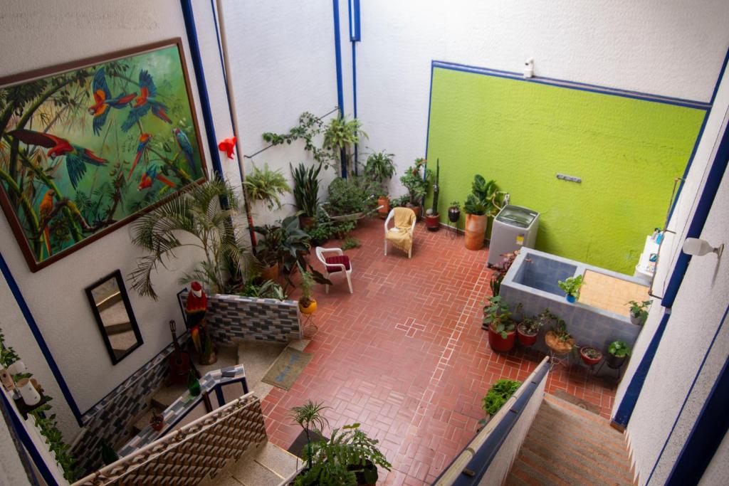 Zahrada ubytování Antigua Hostal