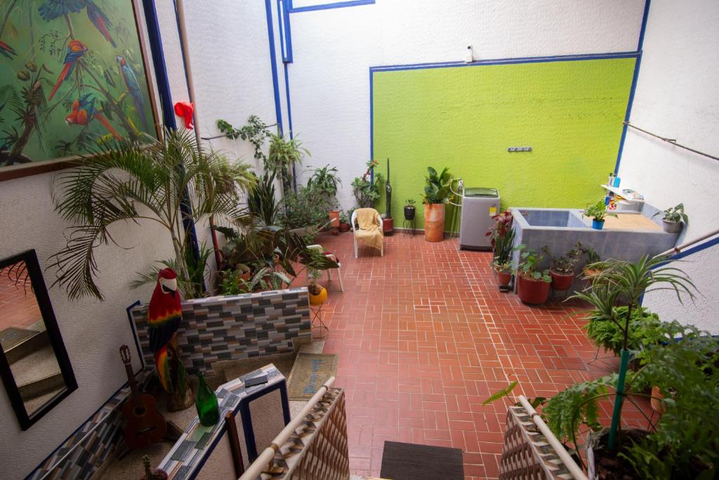 Zahrada ubytování Antigua Hostal