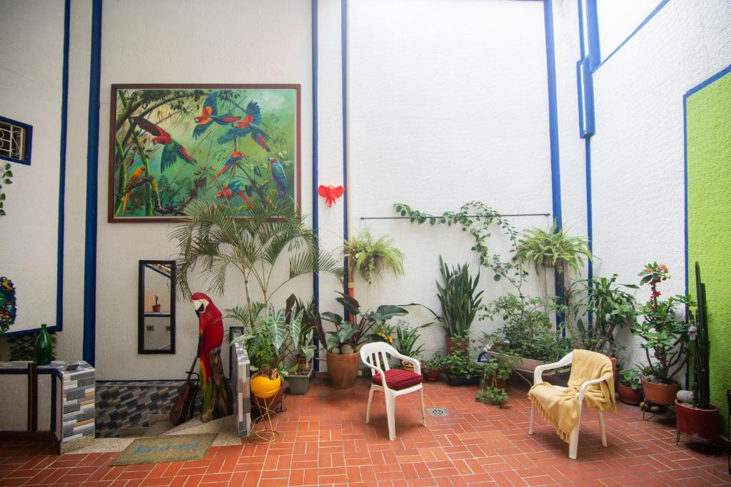 Zahrada ubytování Antigua Hostal