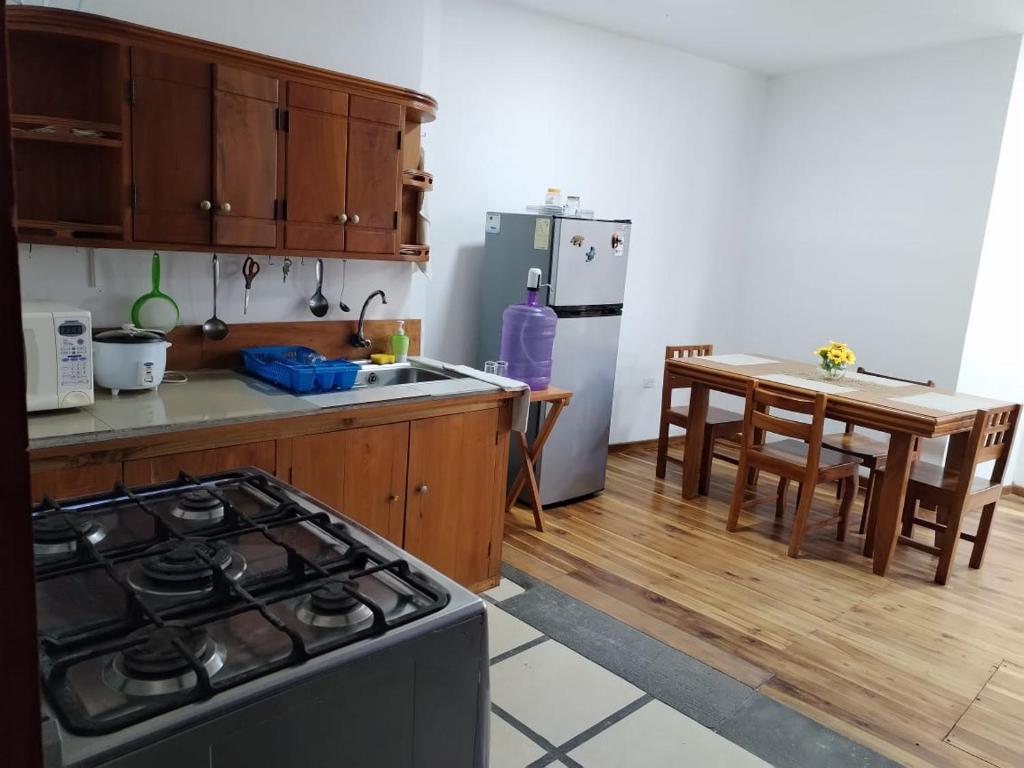 Kuchyň nebo kuchyňský kout v ubytování Hostal Darwin