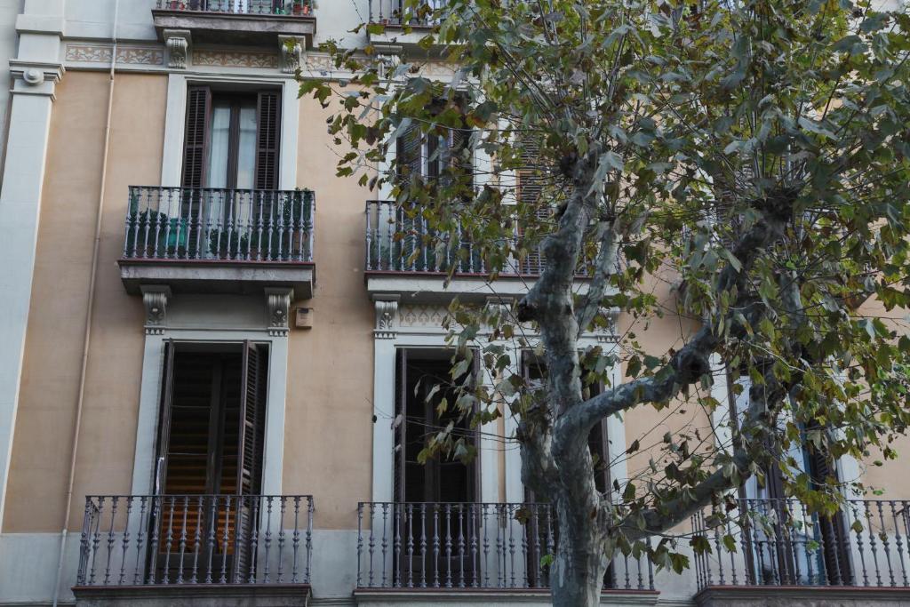 a building with balconies and a tree in front of it at Barcelona Eixample in Barcelona