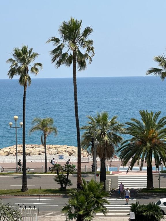 un groupe de palmiers sur la plage dans l'établissement Appartement vue mer CALIFORNIE PROMENADE DES ANGLAIS, à Nice