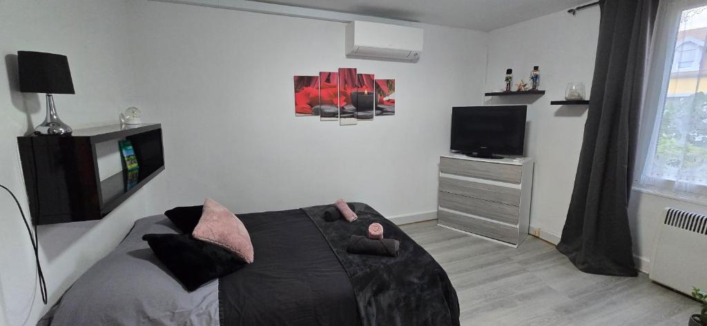 Appartement avec jardin à Colmar - 2
