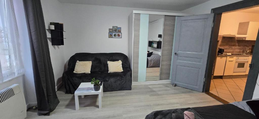 Appartement avec jardin à Colmar - 3