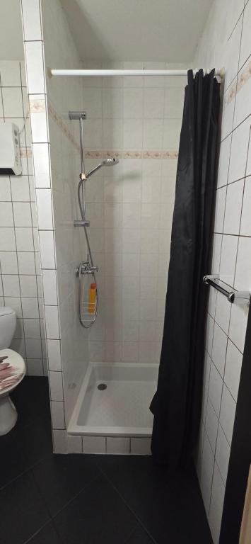 Appartement avec jardin à Colmar - 6