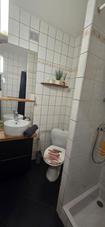 Appartement avec jardin à Colmar - 7