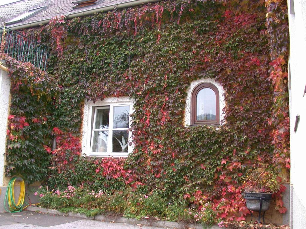 Zahrada ubytování Landhaus Kügler-Eppich, KuEp KG