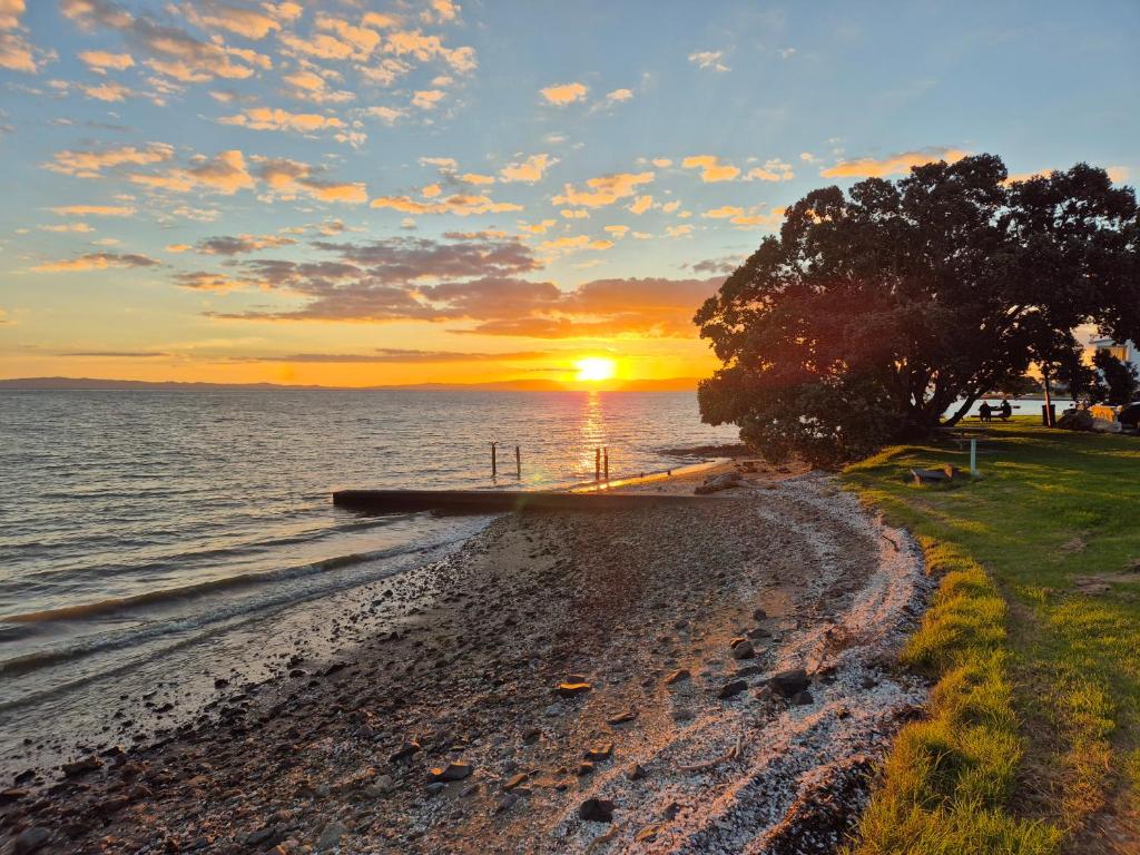 a sunset over a beach with a tree and the ocean at Bonnie Doon on the Thames coast in Thames