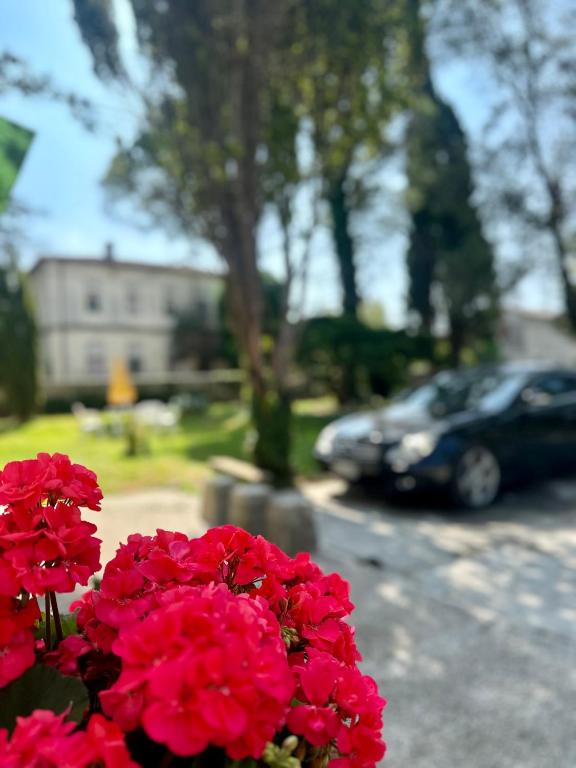 a bunch of red flowers in front of a car at Dori Affittacamere in San Lorenzo
