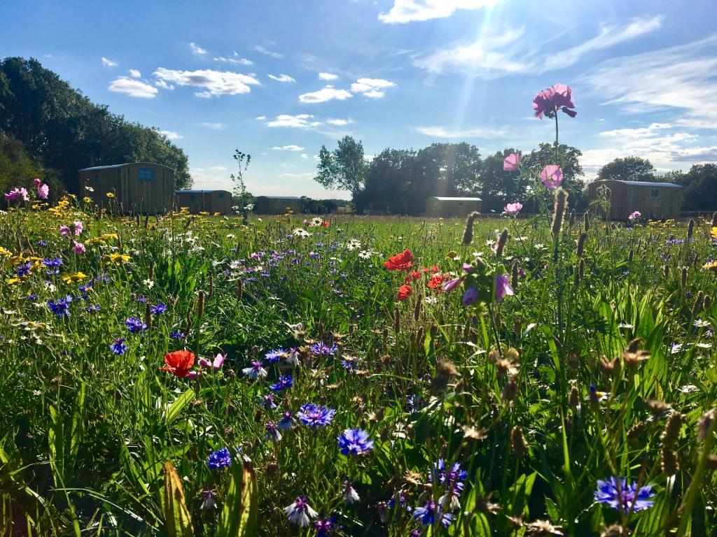 Gallery image of Shepherds Hut 8 in Bedfield