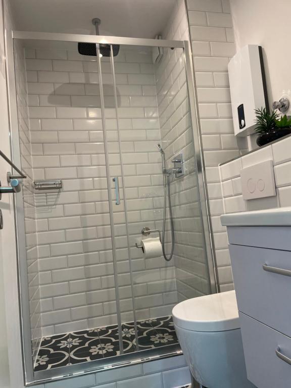 a shower stall in a bathroom with a toilet at Apartment Nr 15 in Bremerhaven