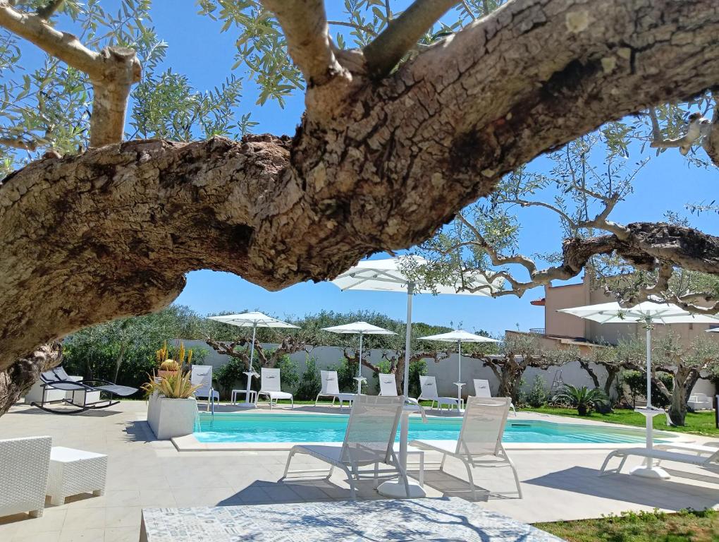 B&B Signorino
