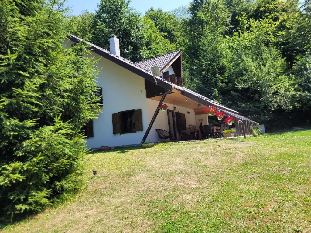 a small white house in a yard with trees at Forest-House in Praid