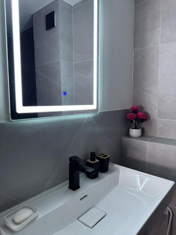 Fotografie z fotogalerie ubytování Apartman Tasic v destinaci Vranje