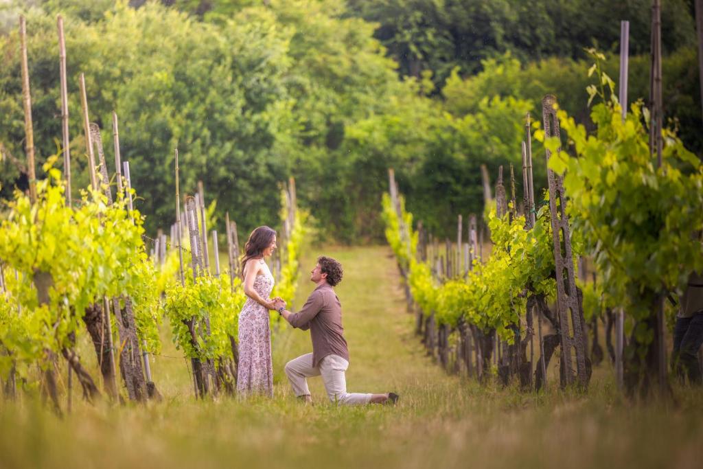 Hosté ubytování Casale Serena