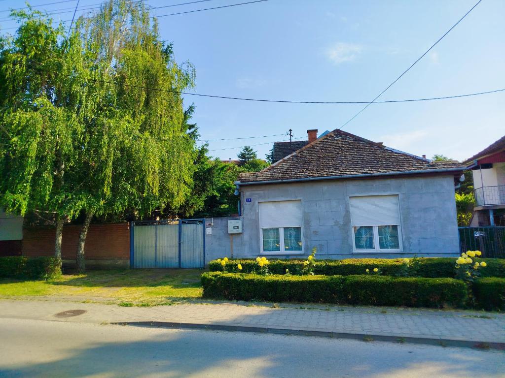 a white house with a tree and a fence at Guesthouse 2207 in Sremski Karlovci