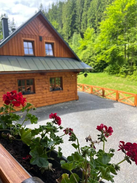 Zahrada ubytování Wellness Chalupa Krajanka