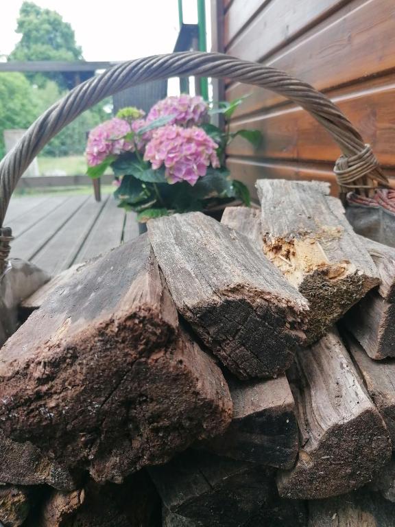 Fotografie z fotogalerie ubytování Weidmannsruh Natur pur - exklusives Tiny house v destinaci Frauendorf