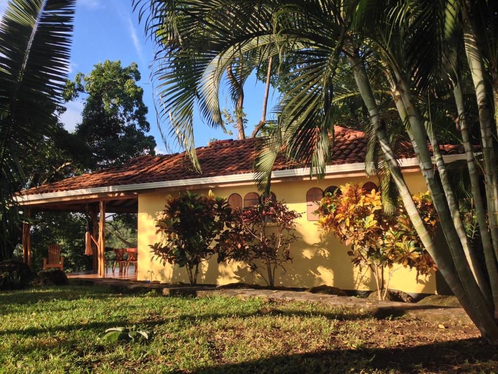 uma casa com uma palmeira em frente em Stunnig Ocean View em Montezuma