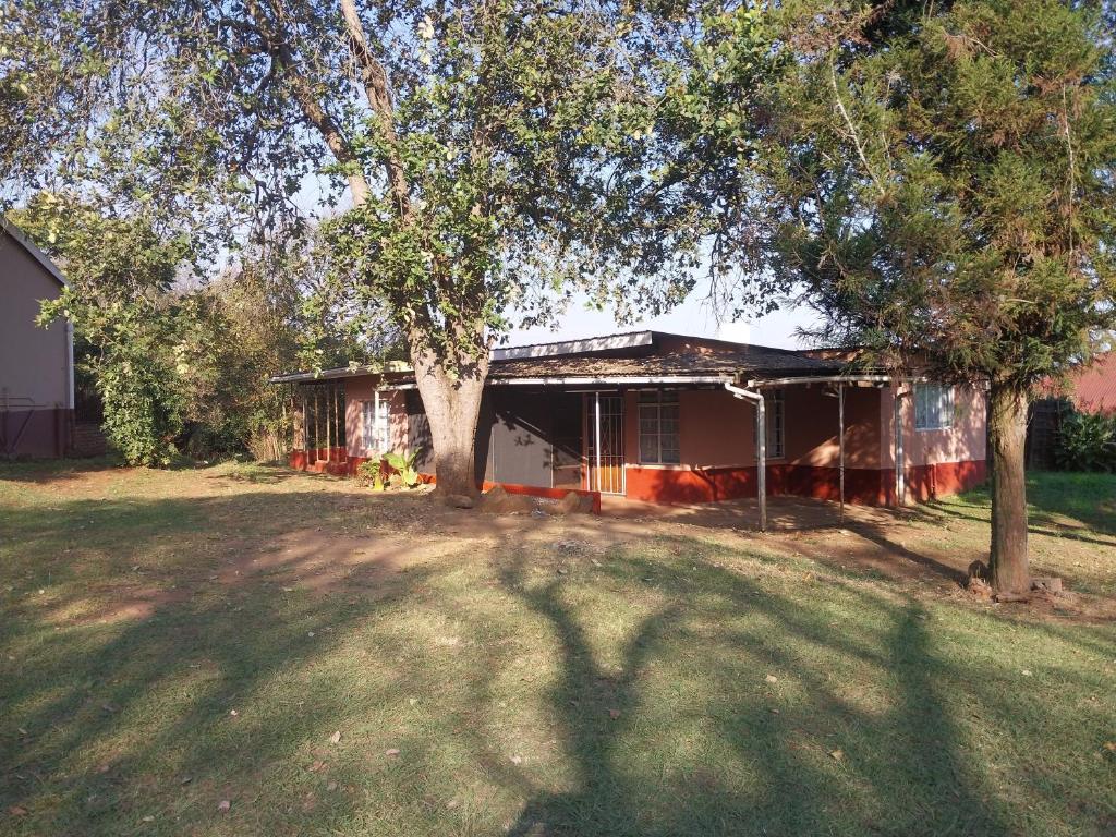 a house with a tree in front of it at Green Escape Cottage Guesthouse in Albert Falls