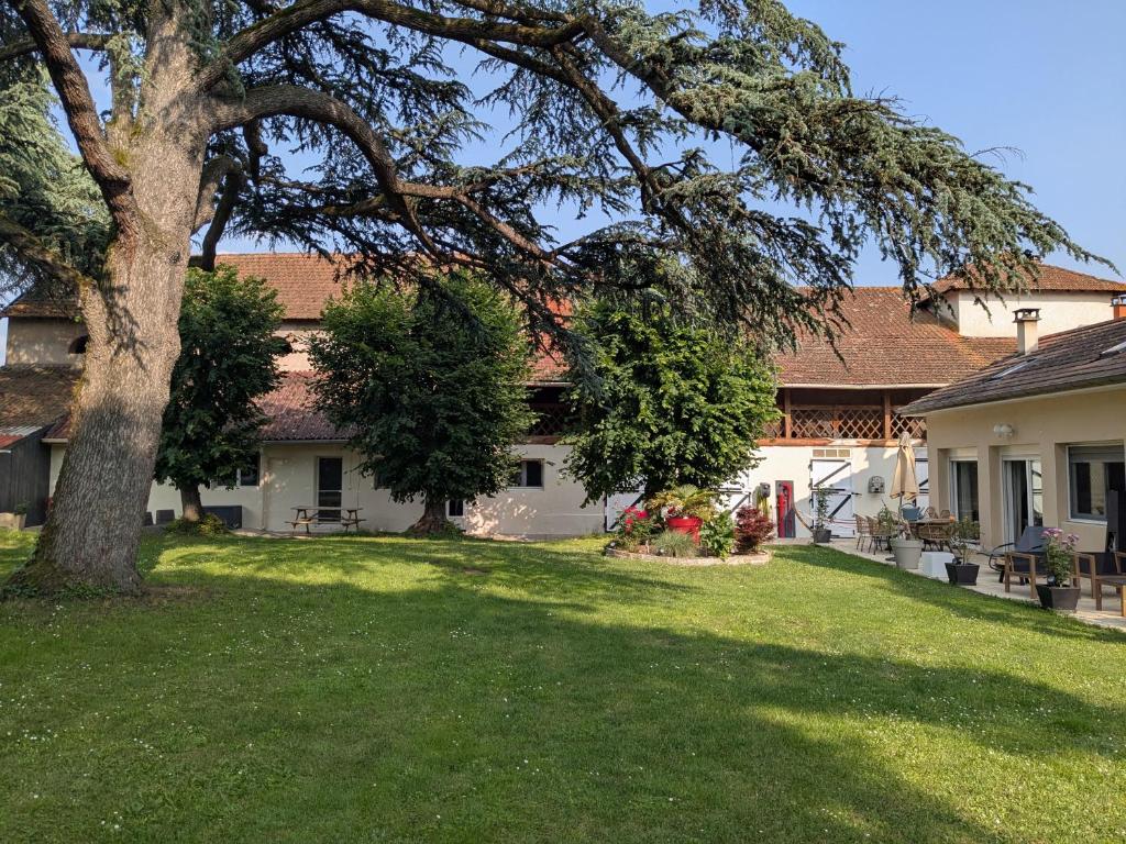 a house with a large tree in the yard at Appartement dans haras in Saint-André-le-Puy