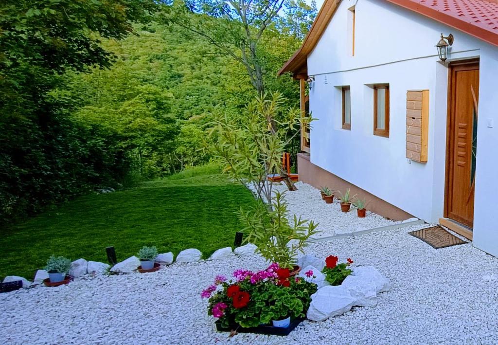 Zahrada ubytování Hilltop Cottage in Szentendre, mountain view, terrace, garden