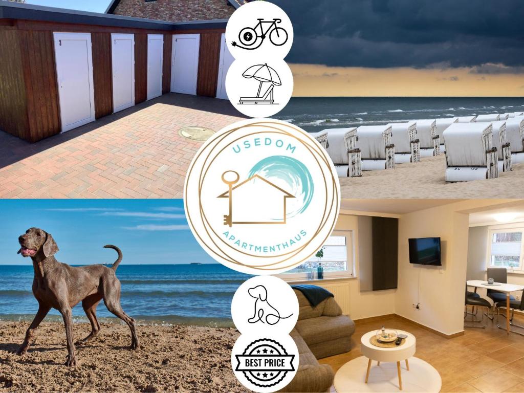 Fotografie z fotogalerie ubytování Usedom-Apartmenthaus v destinaci Zinnowitz