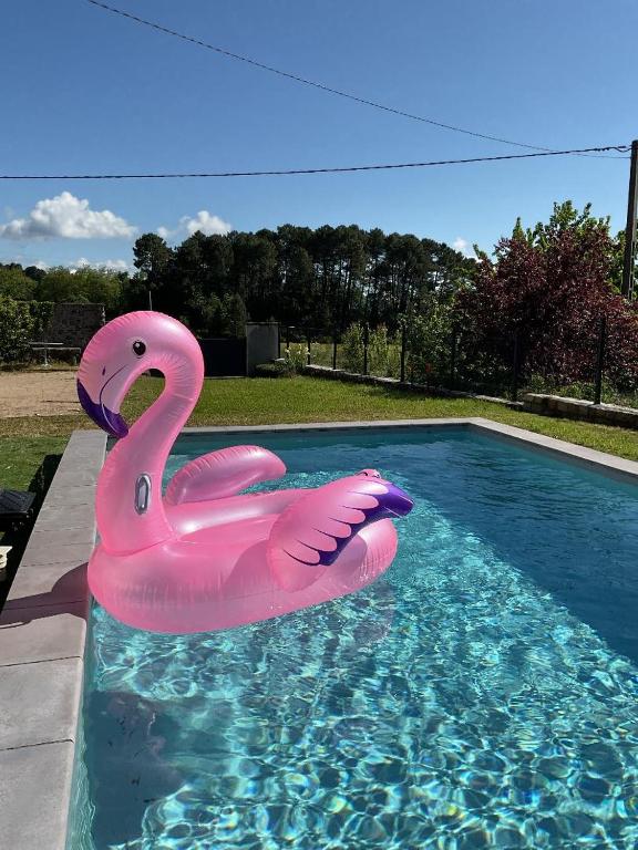 un flotteur de cygne rose dans une piscine dans l'établissement la maison bleue du plot, à Ailhon