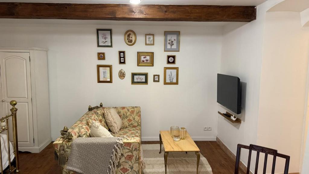 un salon avec un canapé et une table dans l'établissement Bambou Studio, Cocon nature, à Maureillas