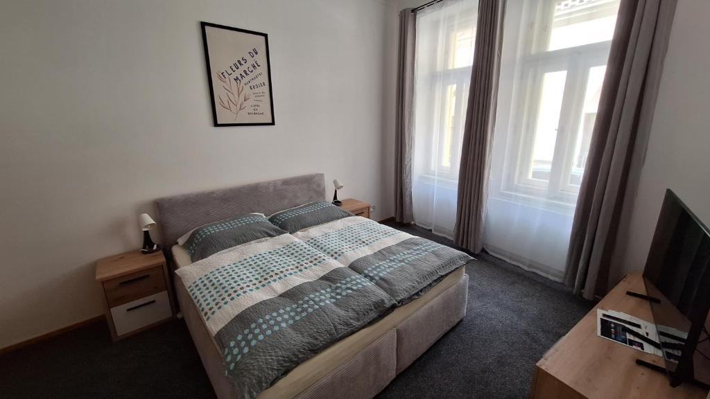 Un dormitorio con una cama y un televisor. en City center apartment Thomas No3, en Praga