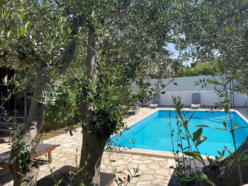 Fabris Apartments with pool and top location near sea