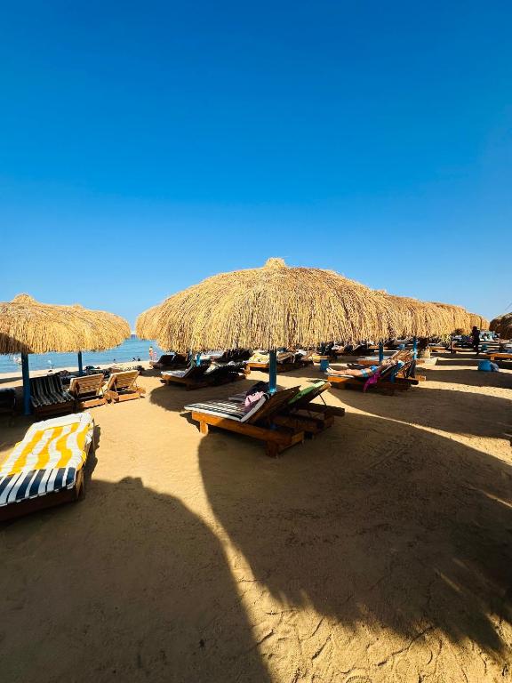 a beach with many straw umbrellas and chairs on it at Unique Studio Free access beach in Hurghada