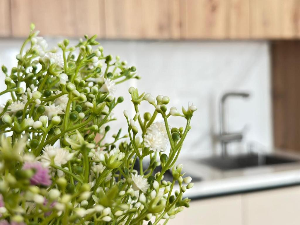 a bouquet of white flowers in a kitchen at Home Side Apartment in Batumi
