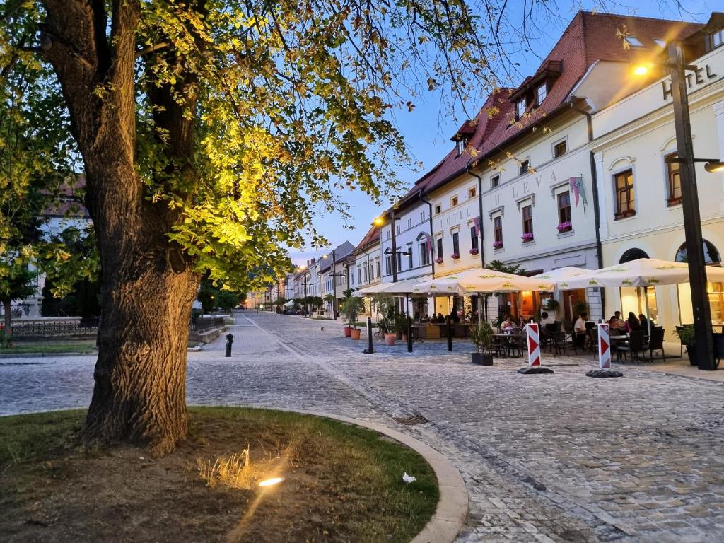 Budova, v ktorej sa apartmán nachádza