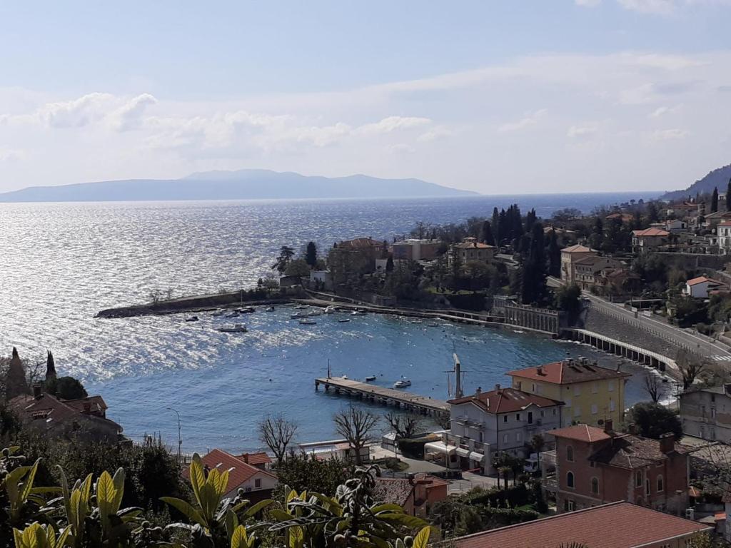 a large pool in the middle of a large body of water at Apartmani Banina in Ika