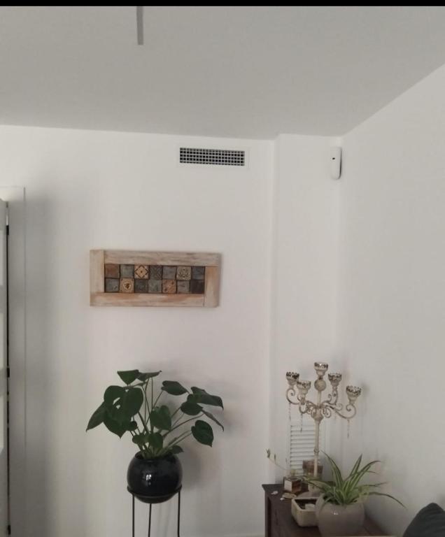 a room with a plant and a picture on the wall at Vidanova 1 in Vilanova i la Geltrú
